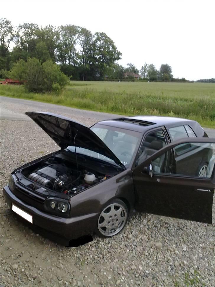 VW  "Clean, vrsexy SHIT" DØD billede 8