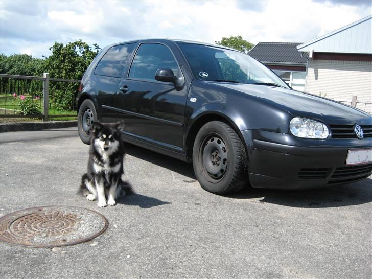 VW Golf 4 *SOLGT* - Min Golf 4 og min Finske lapphund. billede 10