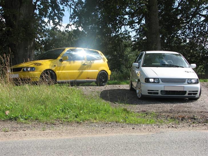 VW POLO 6N RACING billede 3