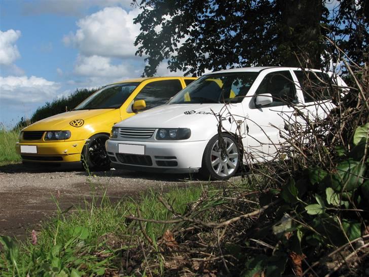 VW POLO 6N RACING billede 5