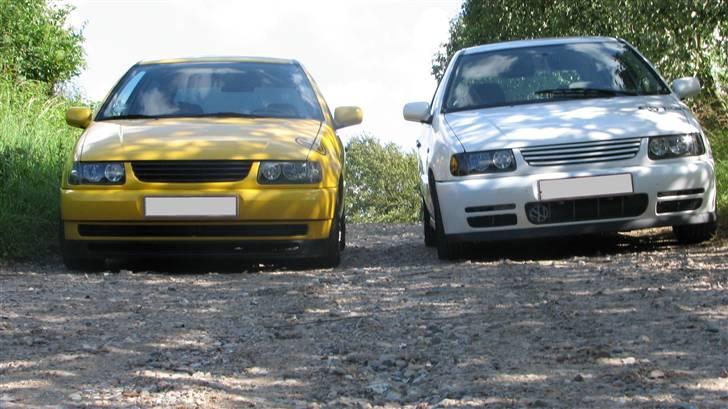 VW POLO 6N RACING billede 9