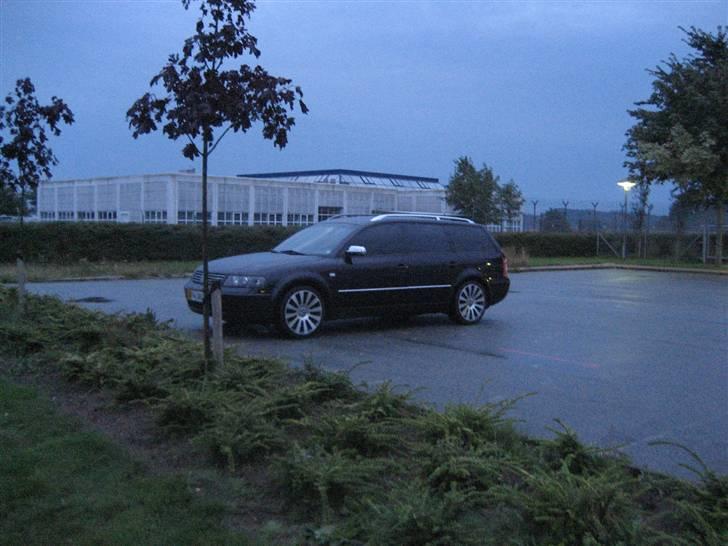 VW Passat 3B 4Motion SOLGT billede 13