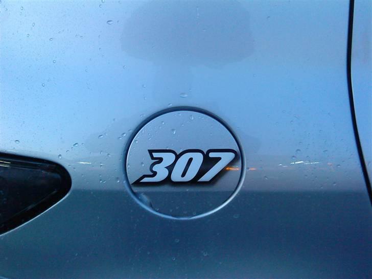 Peugeot 307 2.0 SOLGT billede 4