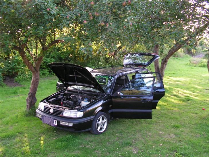 VW Passat CL Stc. billede 16