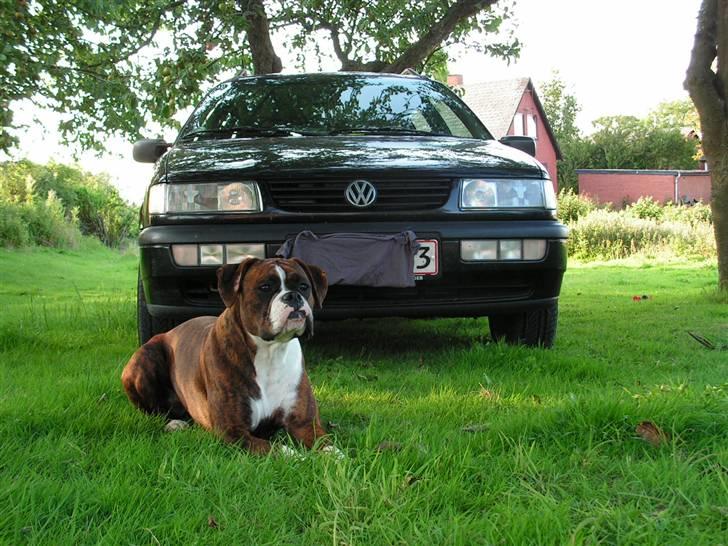 VW Passat CL Stc. billede 19