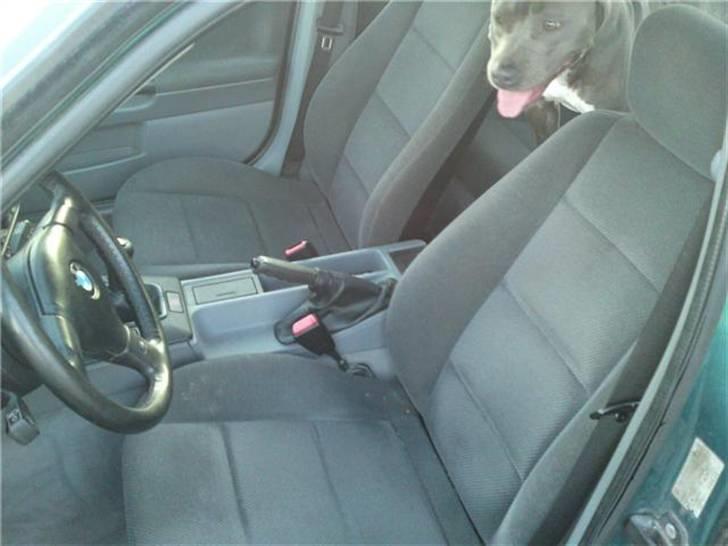 BMW E36 320I 24V billede 5