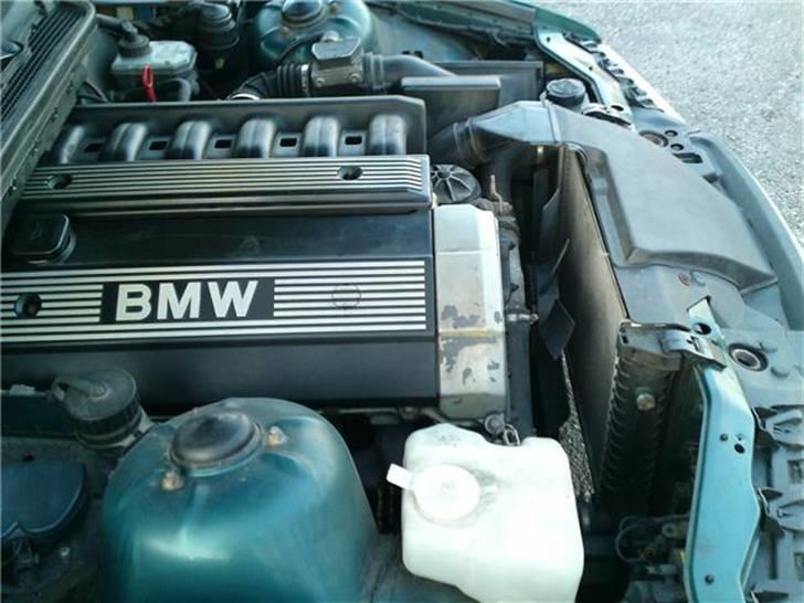 BMW E36 320I 24V billede 15