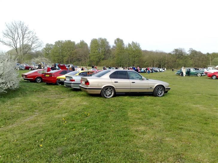 BMW 525tds SOLGT billede 1