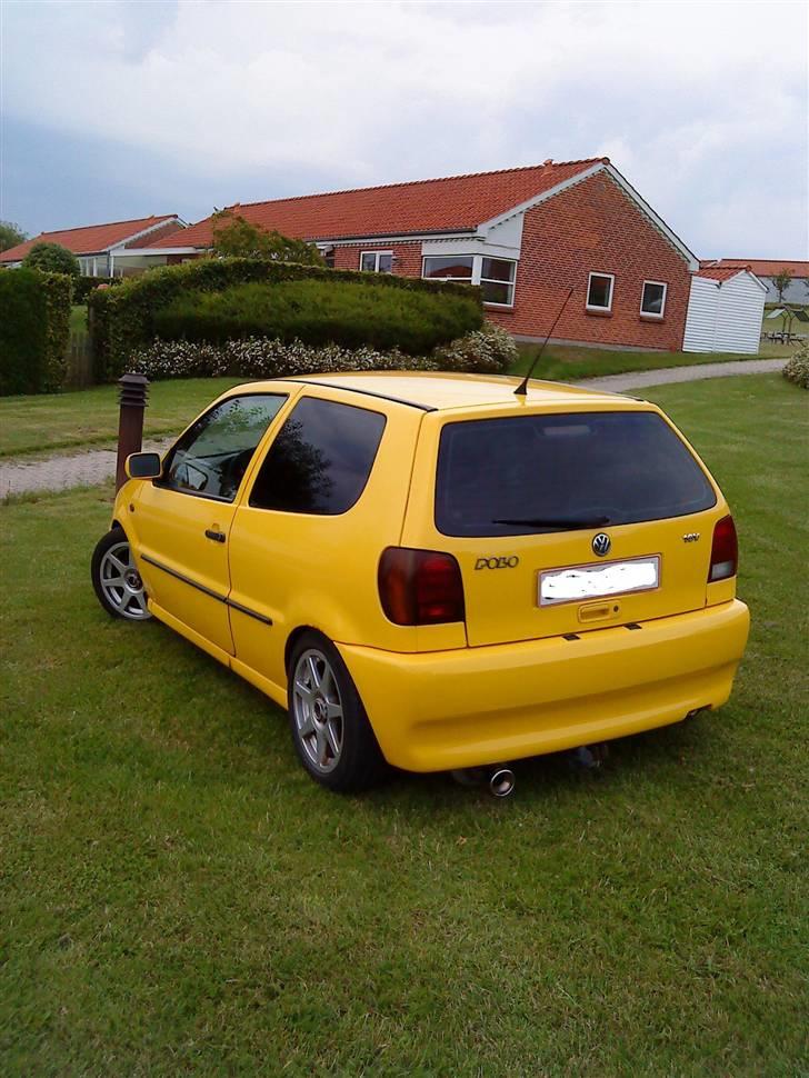 VW polo 6n 16v!! billede 13
