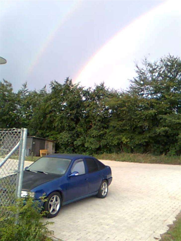 Opel Vectra (Død R.I.P) - Ak ja. Kl 7 om morgenen under regbuen... billede 18