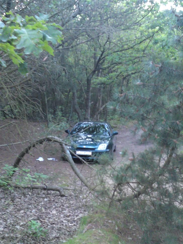 Honda Prelude 2.2 VTI billede 5