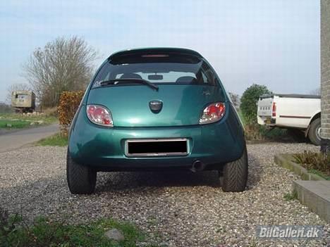 Ford Ka Kult billede 9