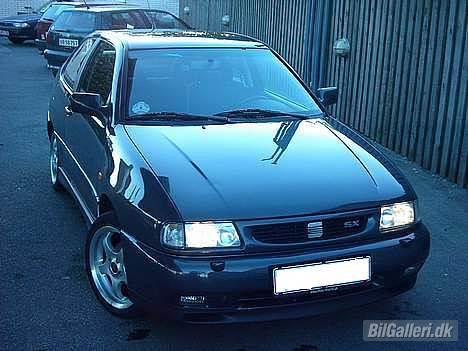 Seat #####solgt####### - sidste sommer efter vask se hvor hun skinder... billede 2