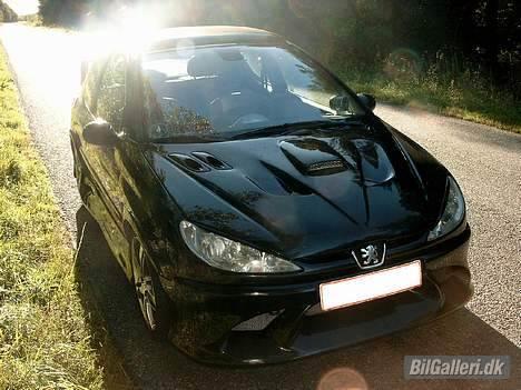 Peugeot 206 2.0 GTI  billede 12