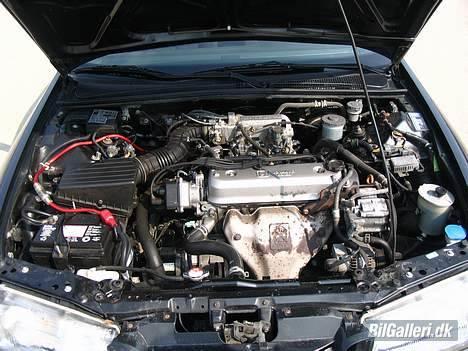 Honda Accord - Motorrum billede 3