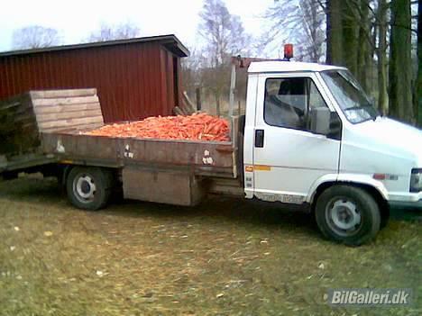 Fiat Ducato 2,5 TD  Maxi 18 - 800 kg Gulerødder billede 3