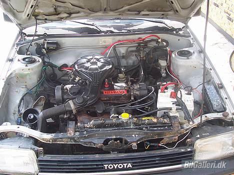 Toyota Corolla *SOLGT* - Motoren - hornet er den i højre side af motoren der peger op ad! billede 4