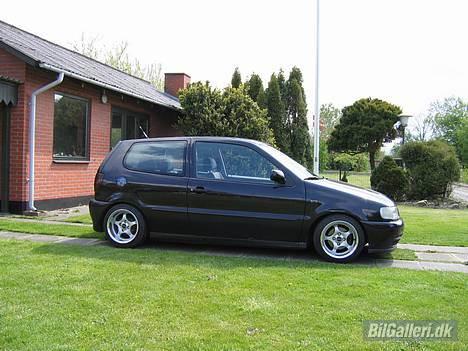 VW polo 6n  billede 17