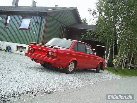 Volvo 240 aka Michelle - er glad i bamser jeg:P billede 19