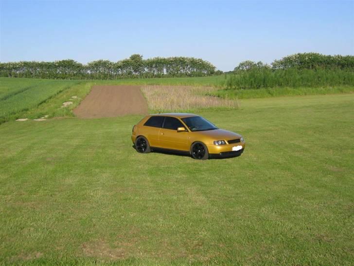 Audi A3 Solgt :'-( billede 17