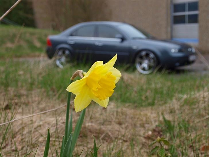 Ford Mondeo Trend billede 10