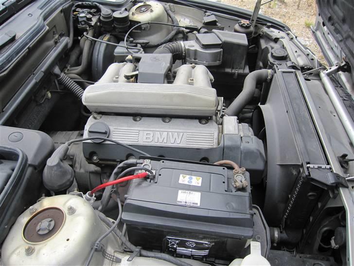 BMW e34 billede 11