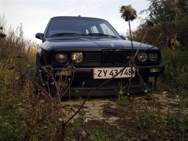 BMW E30 335i Touring *Solgt* billede 4