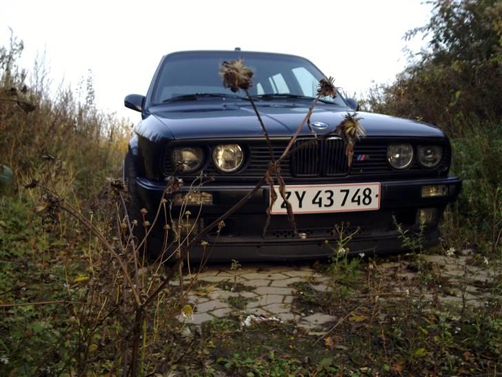 BMW E30 335i Touring *Solgt* billede 5