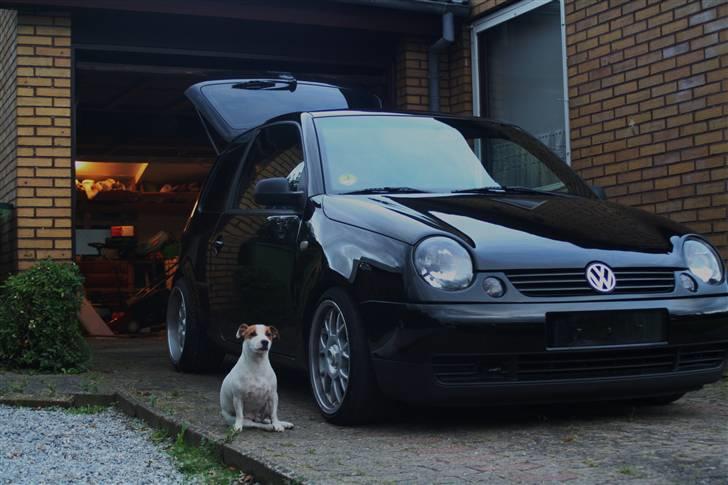 VW Lupo - SOLGT!! billede 16