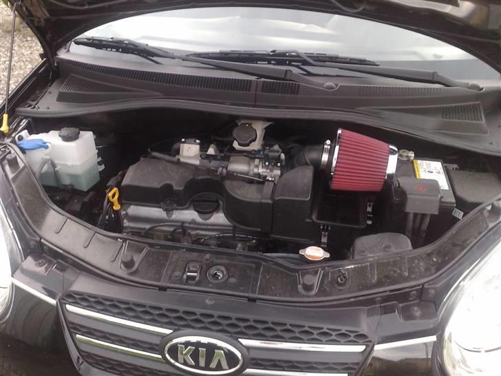 Kia Picanto Active 1.1 - Luft filter billede 6