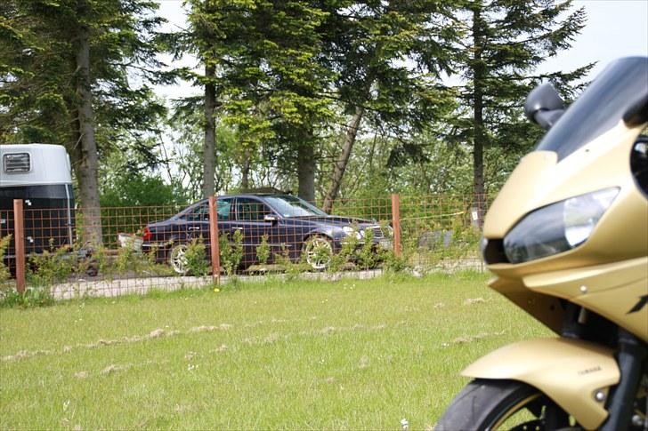 Mercedes Benz E 320 Avantgarde billede 11