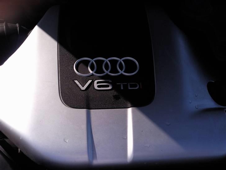 Audi A4 2.5 TDI Quattro billede 14