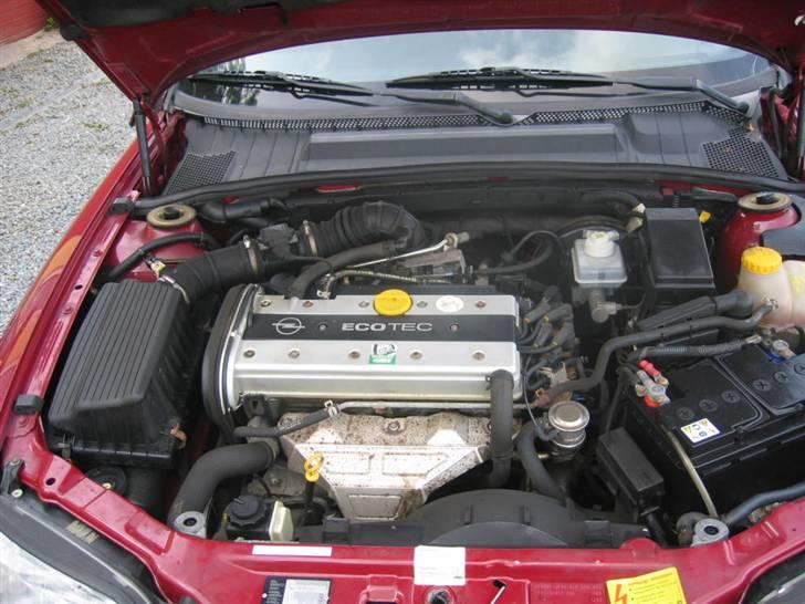 Opel Vectra B Total Skadet billede 14