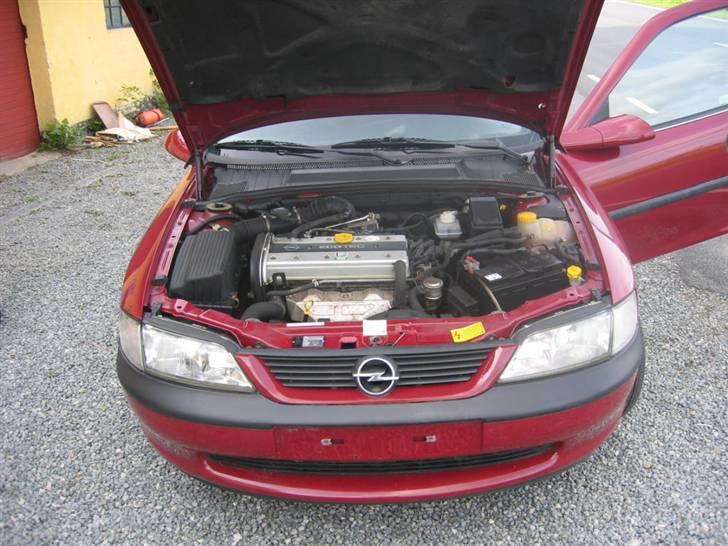 Opel Vectra B Total Skadet billede 15