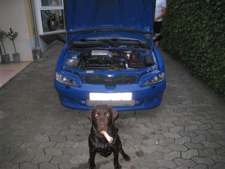 Peugeot 106 Rallye billede 7