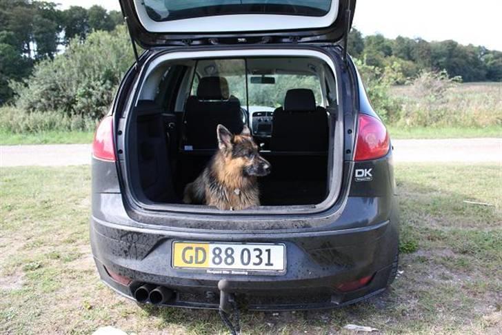 Seat Altea ( solgt ) - hvorfor have alarm i bilen når man har en til at passe på den billede 11