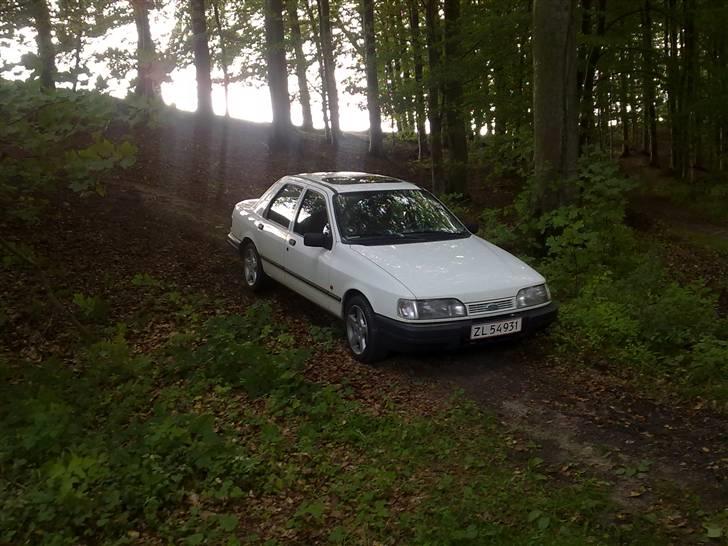 Ford Sierra 2.0i Doch billede 1