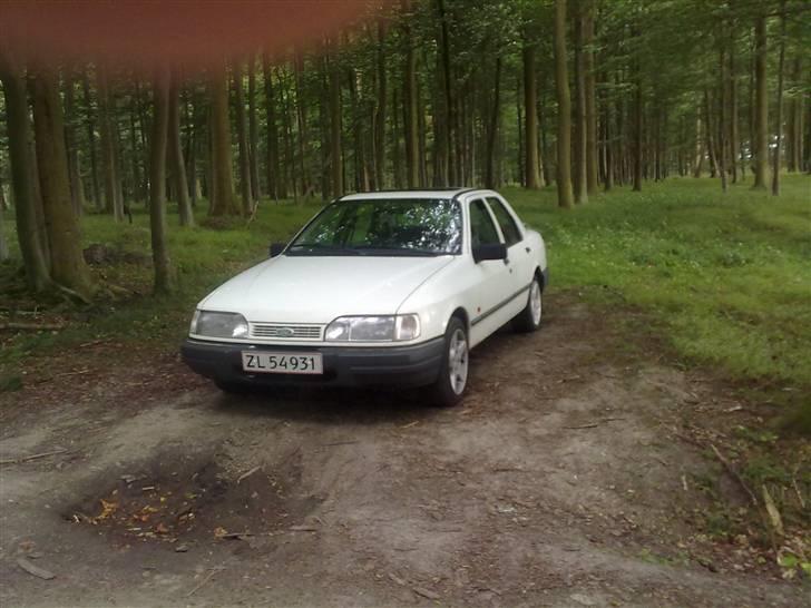 Ford Sierra 2.0i Doch billede 2