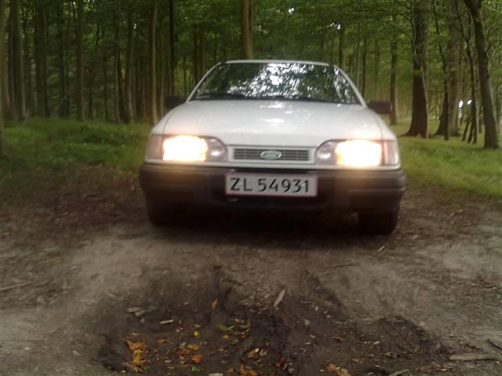 Ford Sierra 2.0i Doch billede 5