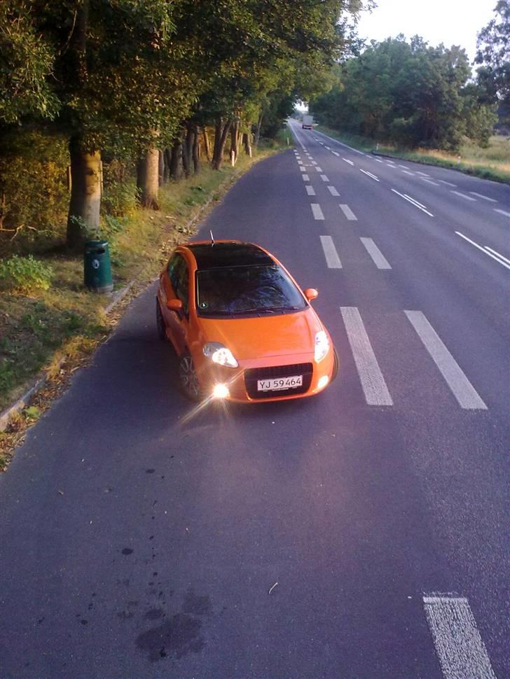 Fiat Grande Punto - Solgt - Som den står nu - 01/09-2009 billede 16