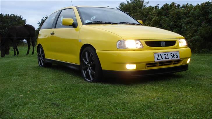 Seat Ibiza GT TDI billede 9