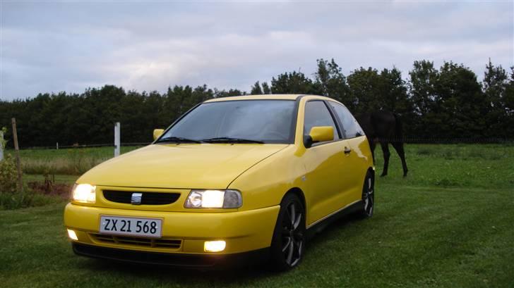 Seat Ibiza GT TDI billede 11