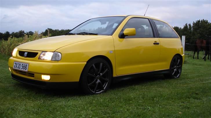 Seat Ibiza GT TDI billede 12