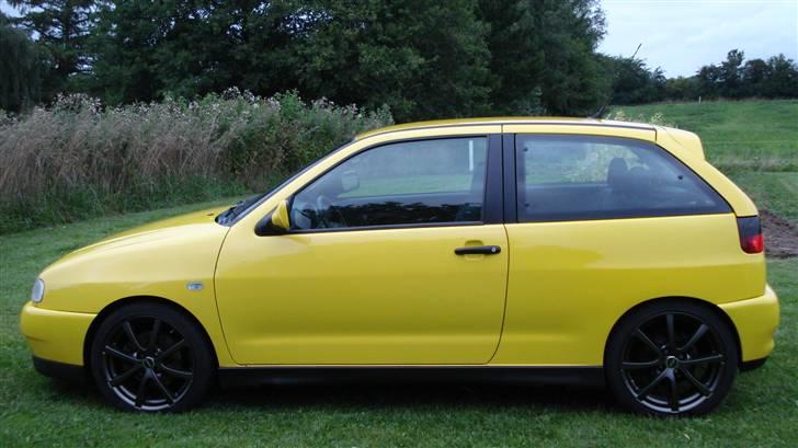 Seat Ibiza GT TDI billede 14