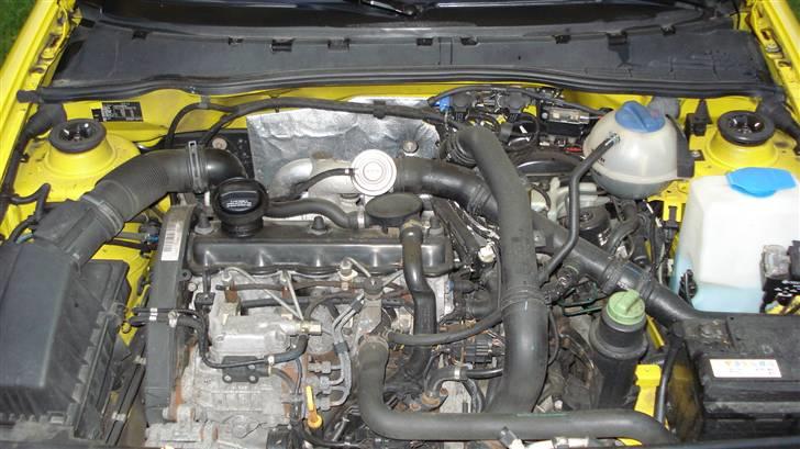 Seat Ibiza GT TDI billede 16