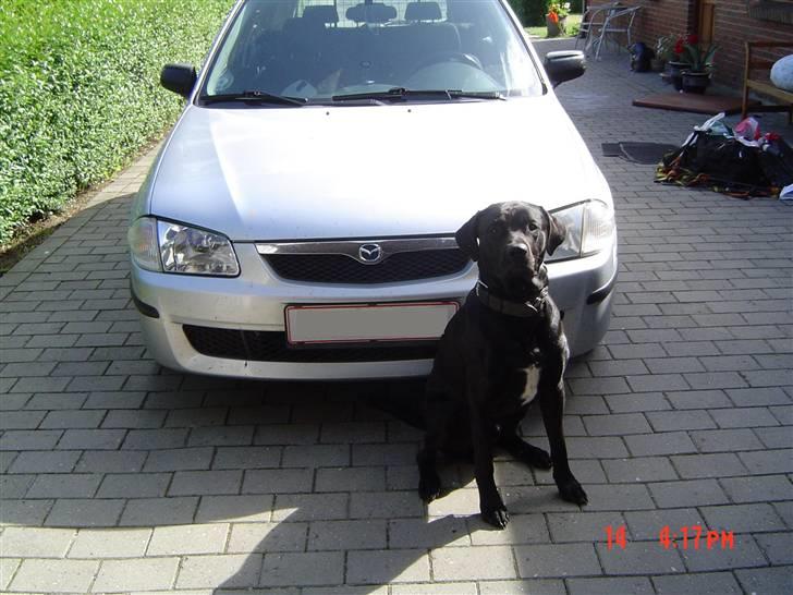 Mazda 323 F BJ 2.0 DITD - SOLGT - Min hund og bilen billede 14