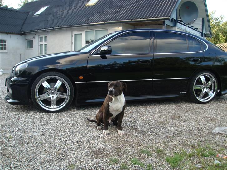 Lexus GS300    !!!! SOLGT!!! billede 14