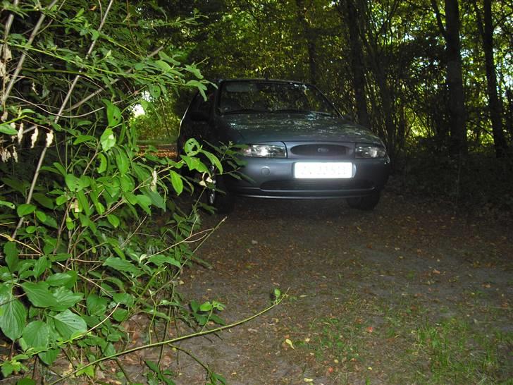 Ford fiesta (SOOLGT) billede 8