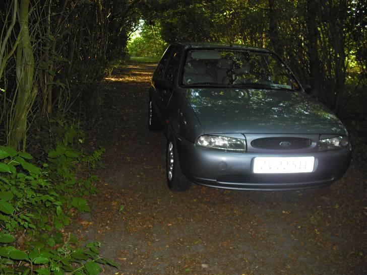 Ford fiesta (SOOLGT) billede 9