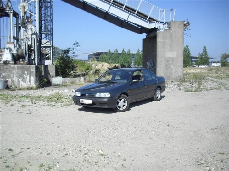 Nissan primera billede 1